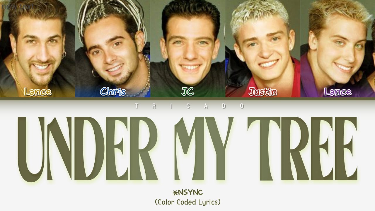 *NSYNC - Under My Tree (Color Coded Lyrics)