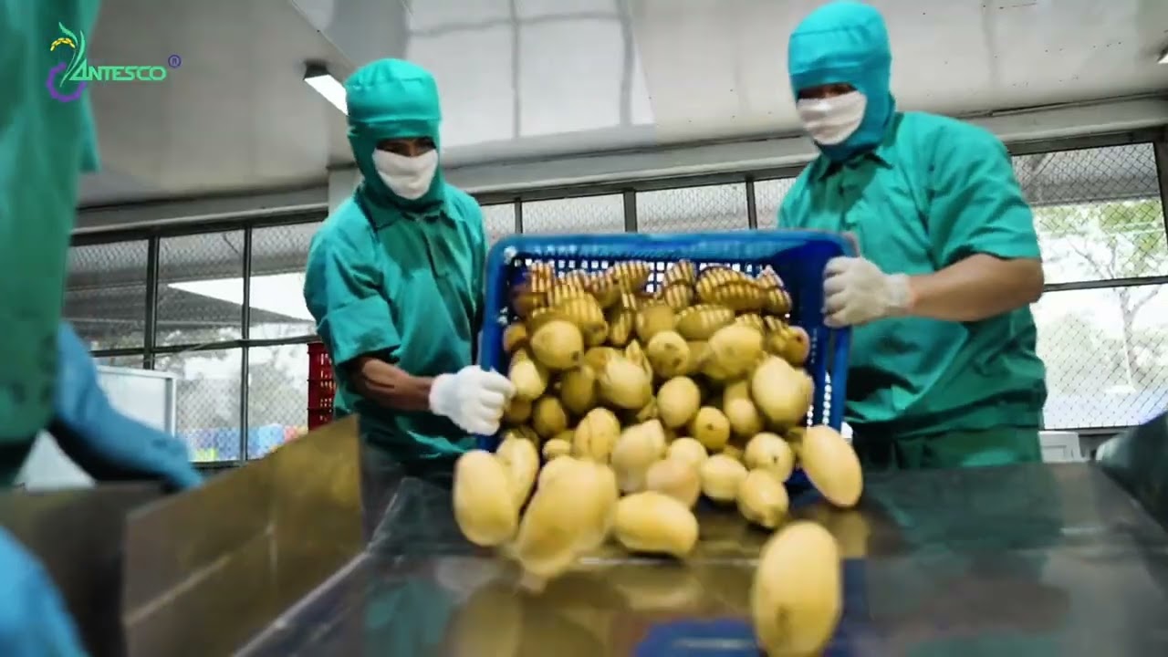 ATESCO VŨ ĐIỆU NGÀY MỚI
