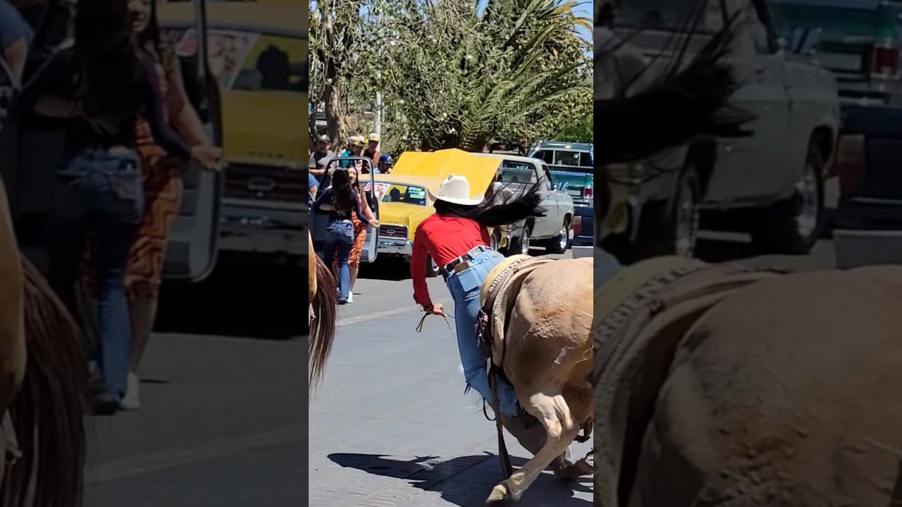 SE RESBAL&Oacute; EL CABALLO