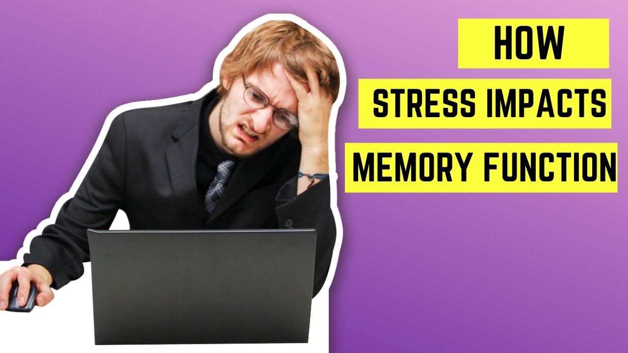 How Stress Impacts Memory Function | Psychology