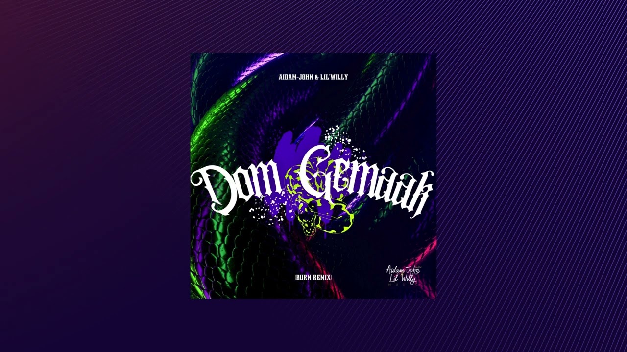 Aidam-John & Lil' Willy - Dom Gemaak (Official Video)