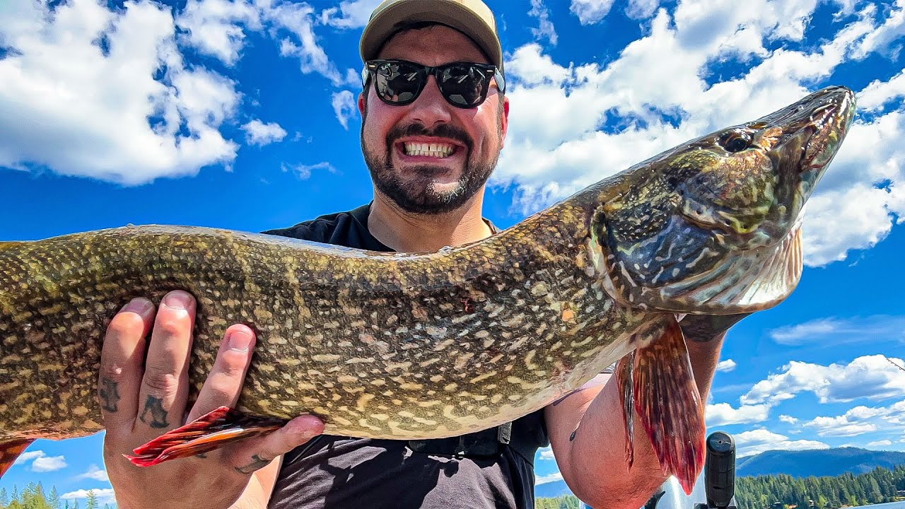 Unveiling Hayden Lake's Hidden Crappie and Pike