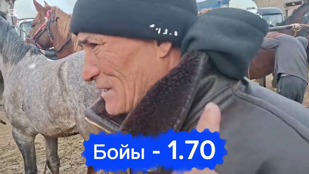 19.01.26Сарыағаш мал базары.Жылқылар,аттар,дөнендер,құнандар,биелер,биелер құлынымен,байталдар,құлын