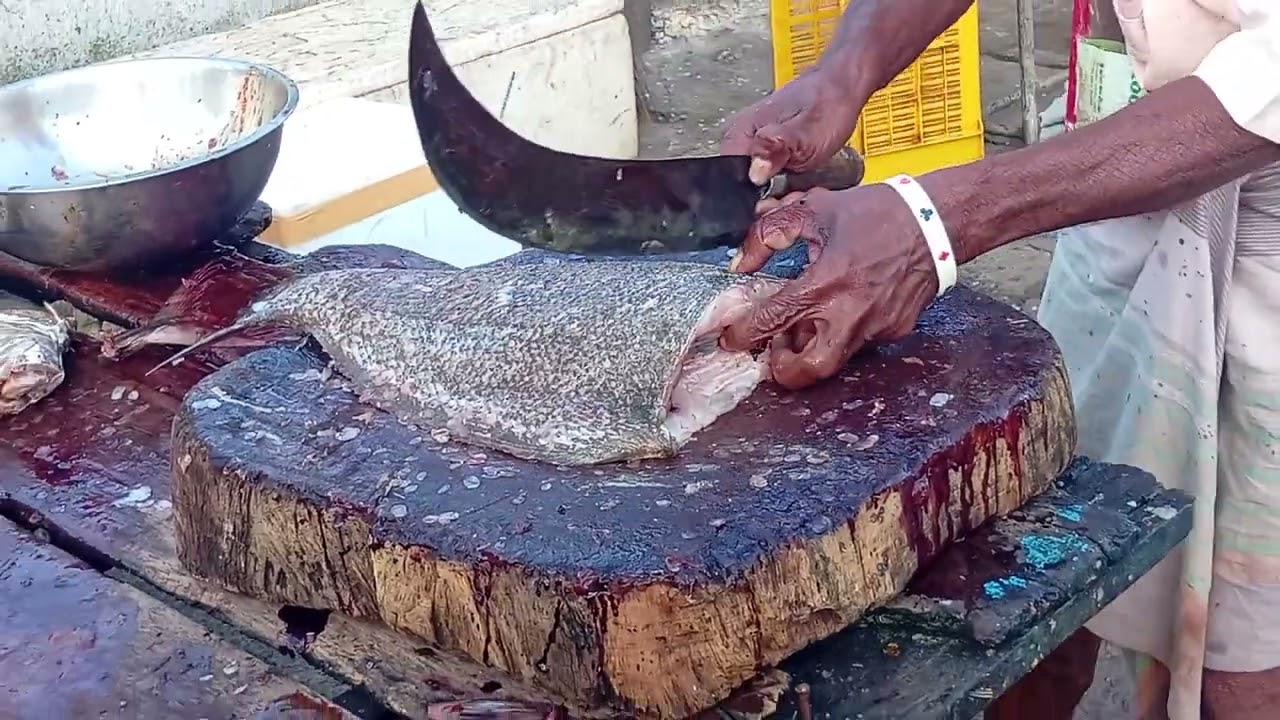 Dodanduwa Fresh Fish Marketing..!