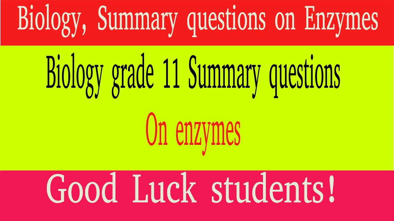 Biology grade 11, summary question on enzymes