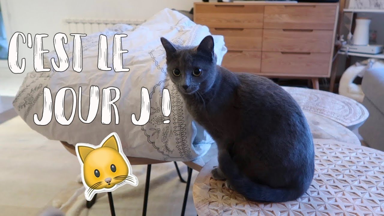 NONO VA SE FAIRE OPÉRER !
