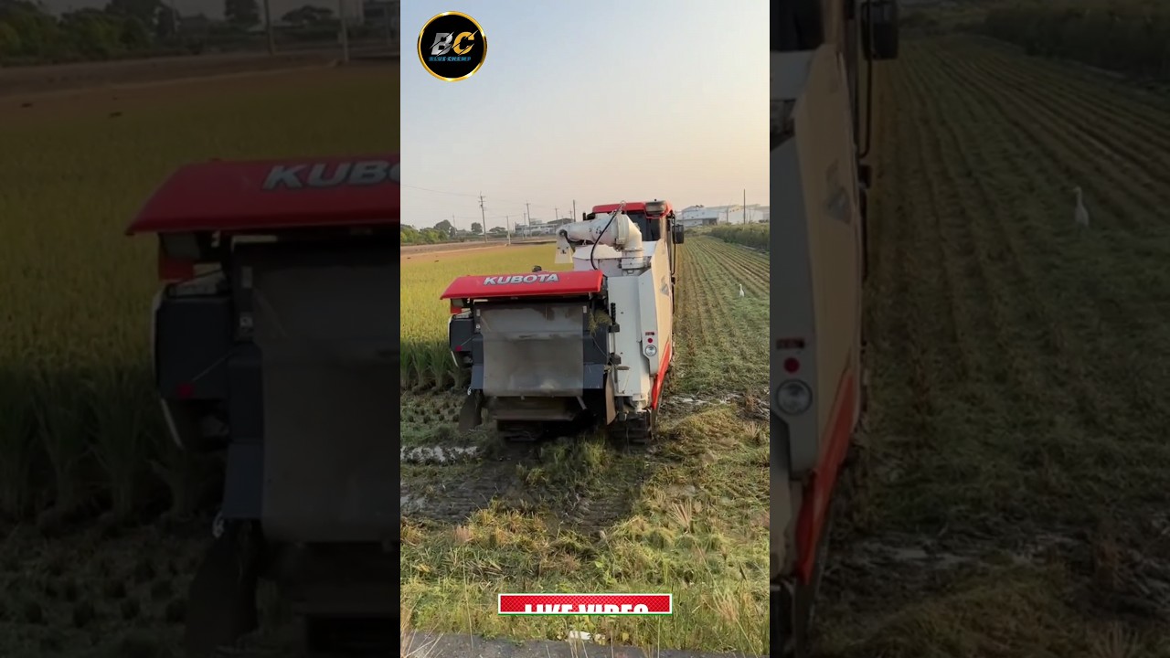 kubota DR120 combine harvester #shorts #kubota #short