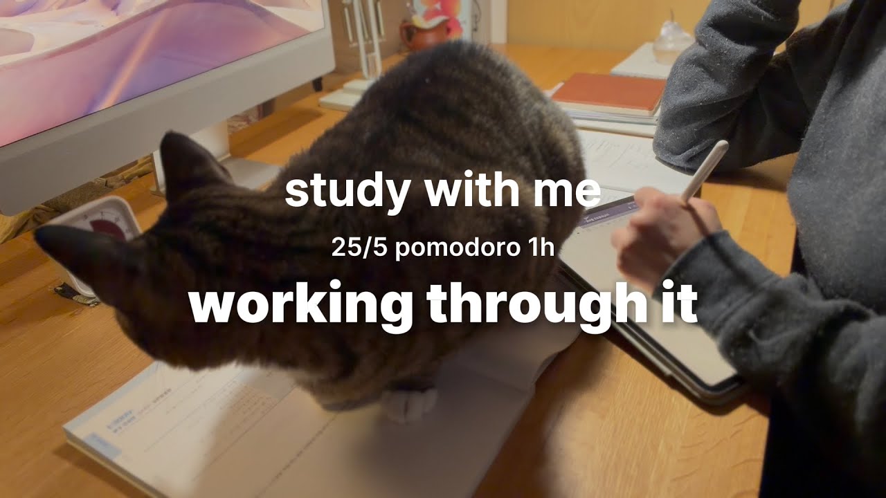 25/5 pomodoroㅣcalm, (cat), focus, no talkingㅣ1 hour study with meㅣJan 25