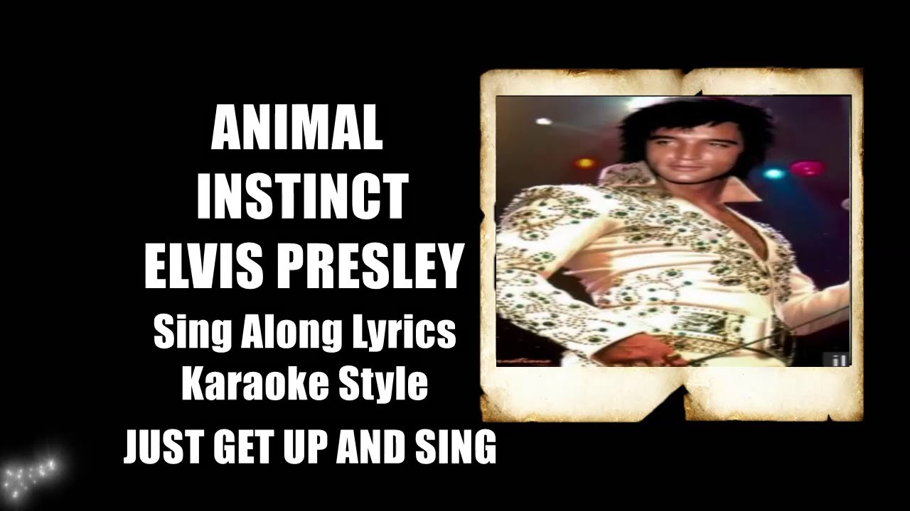 Elvis 1965 It's Animal Instinct HQ Lyrics