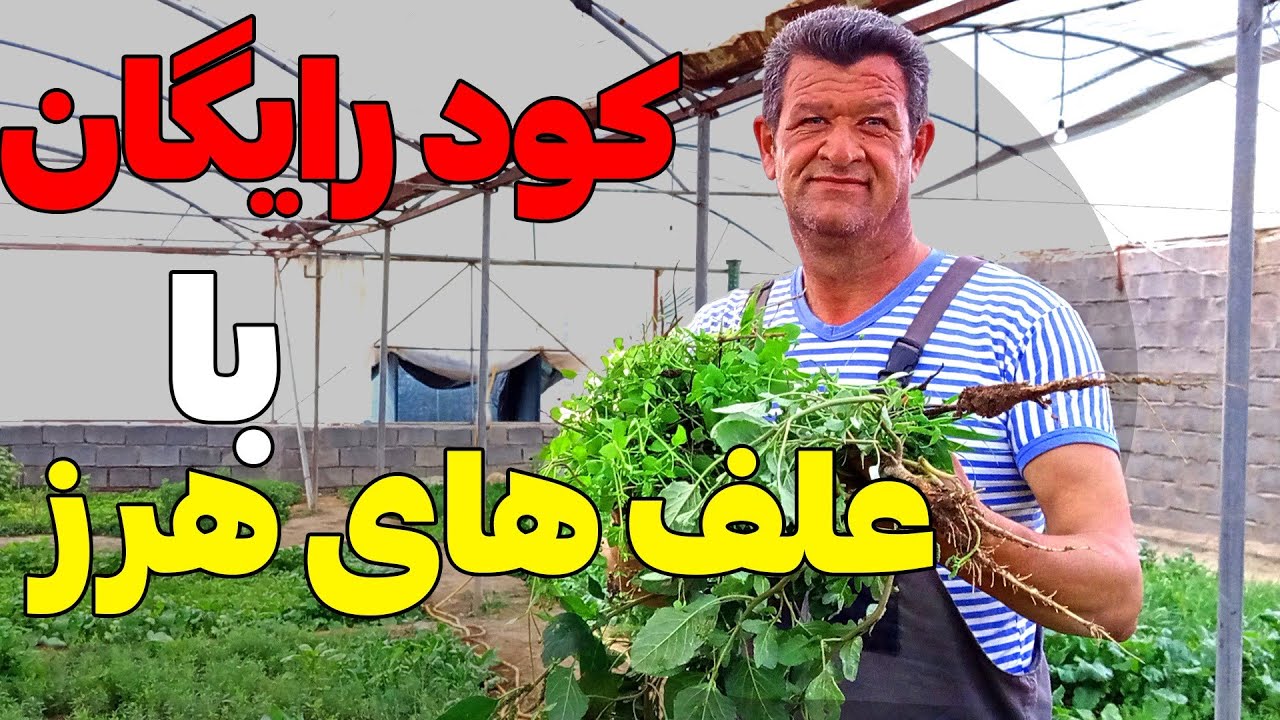 آموزش ساختن کود مایع رایگان از علف های هرز