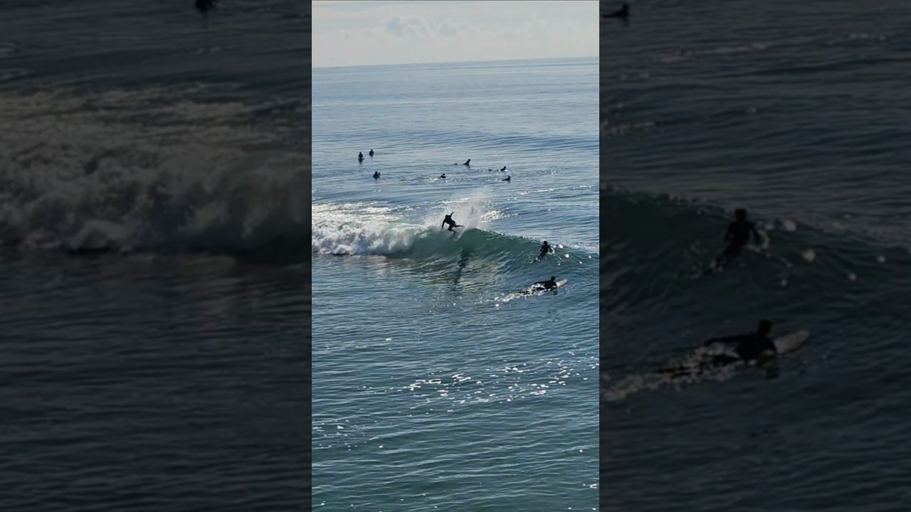 fins free in hb 