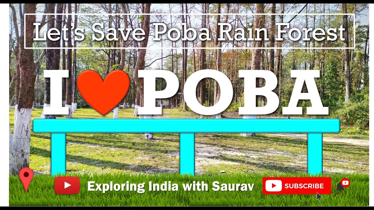Poba Rain Forest Vlog #assamtourism #rainforest #dhemaji