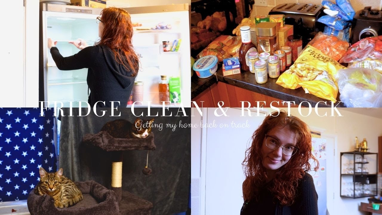 Cleaning & Organising My Fridge and Freezer | Cozy Reset