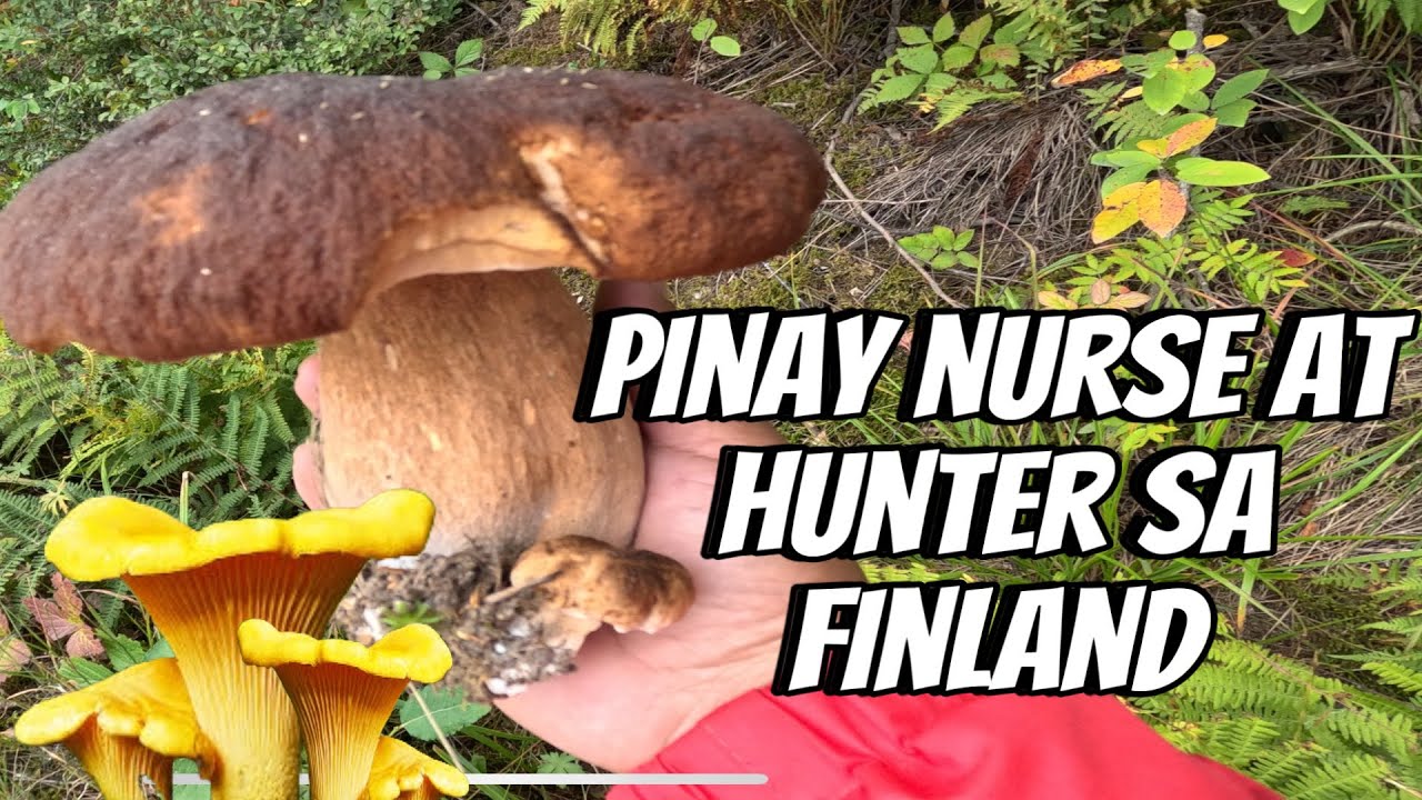 CHANTARELLES AND BOLETES HUNTING | THE LINDEMANS