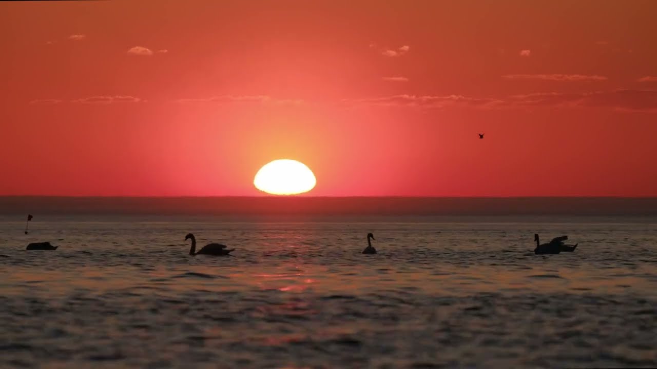 Music for Joy and Inner Peace: Calming Sea-Scape with Natural Bio-frequencies