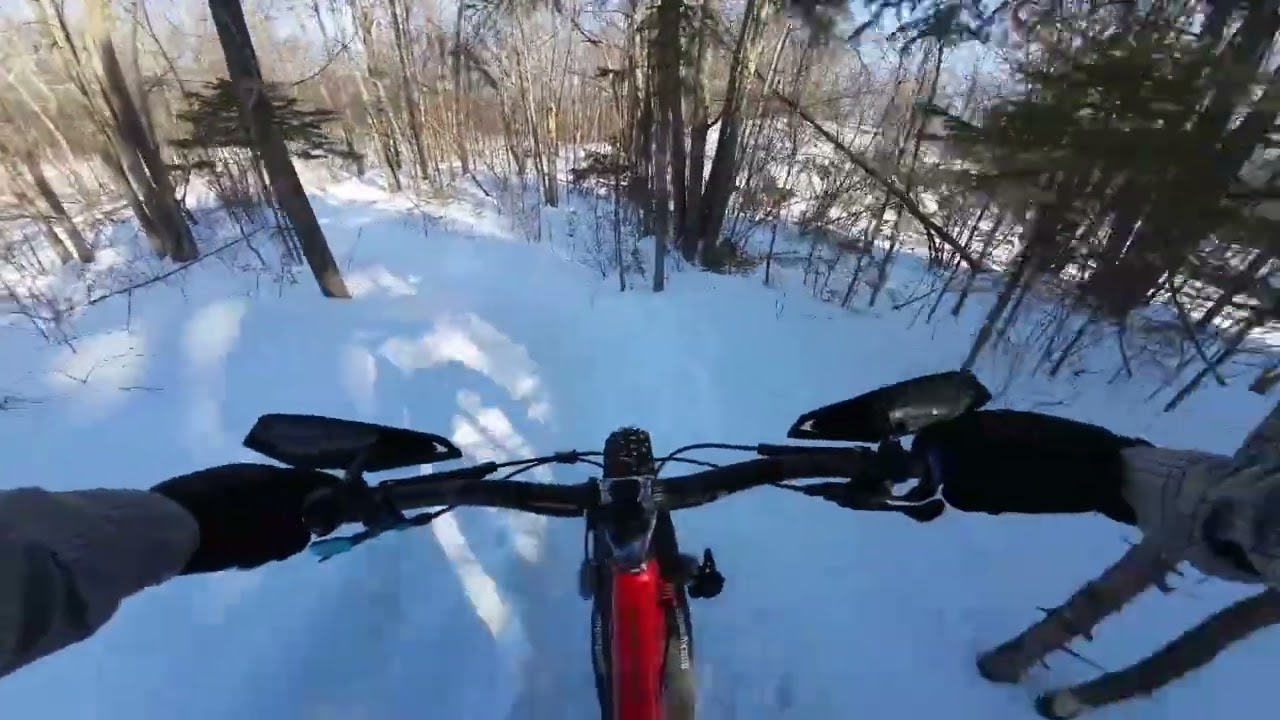 Fat biking - sugary snow in South March Highlands 2026-02-14