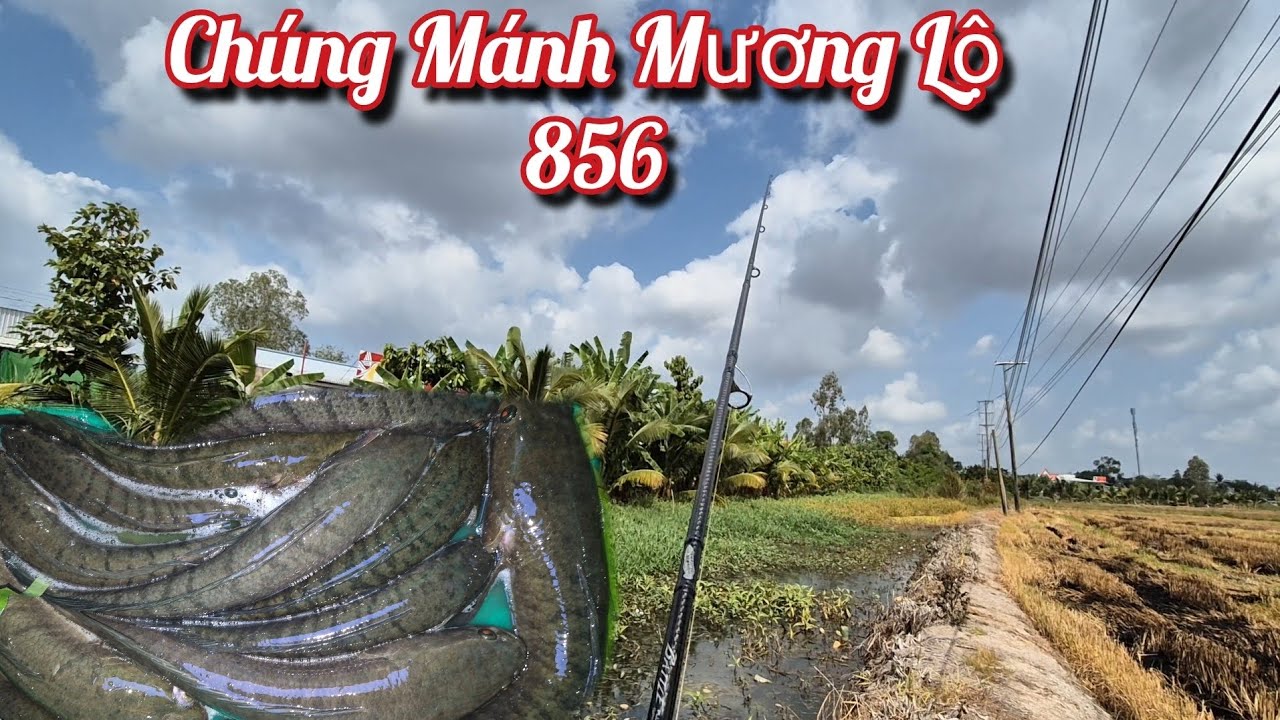 Lâu Quay Lại Mương Lộ Kết Quả Không Ngờ Chúng Mánh.. Trần Tài Vlog