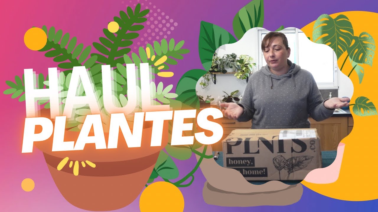 HAUL PLANTES 🪴 MES DERNIERS ACHATS CHEZ PLNTS 😱