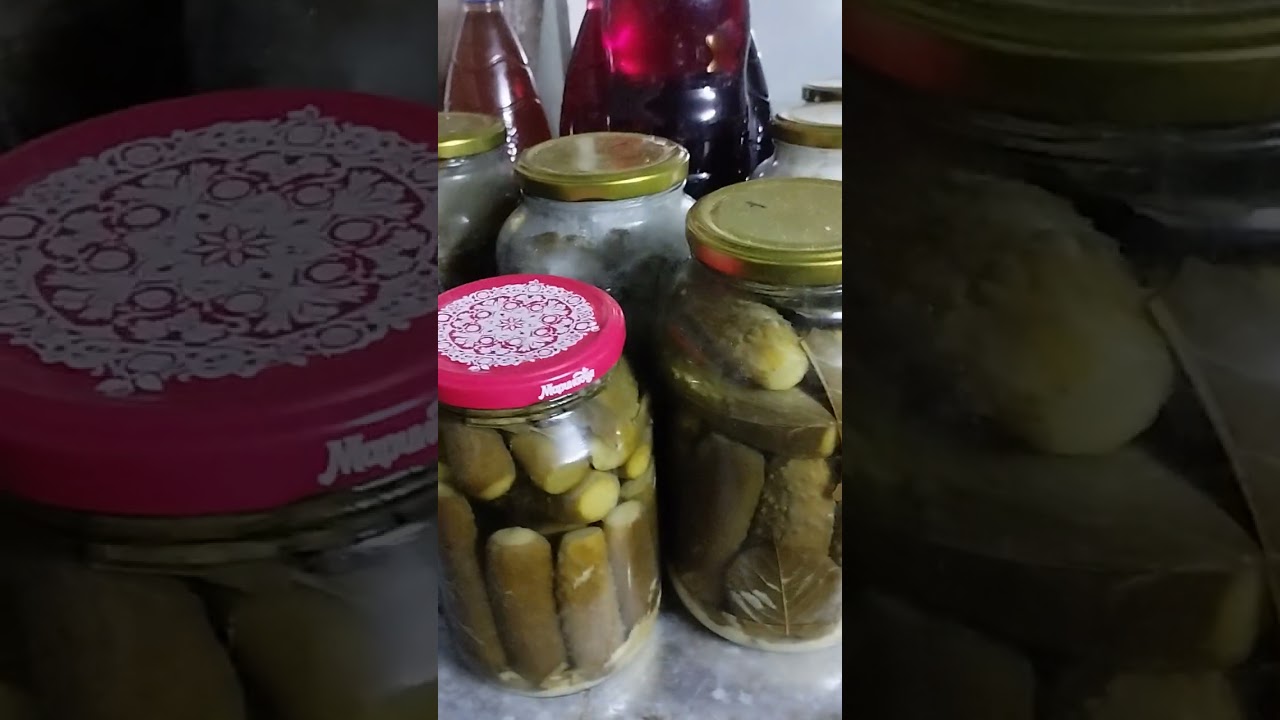 В роде откапались и обогрелись