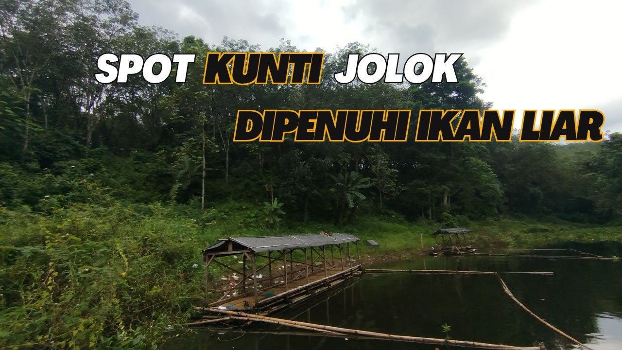 SPOT MANCING HOROR (KUNTI) DI HUNI BANYAK NYA IKAN LIAR // MANCING CIRATA TERBARU 2026