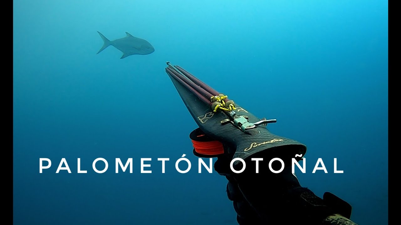 Palomet&oacute;n 12 kg de m&uacute;sculo - Pesca Submarina