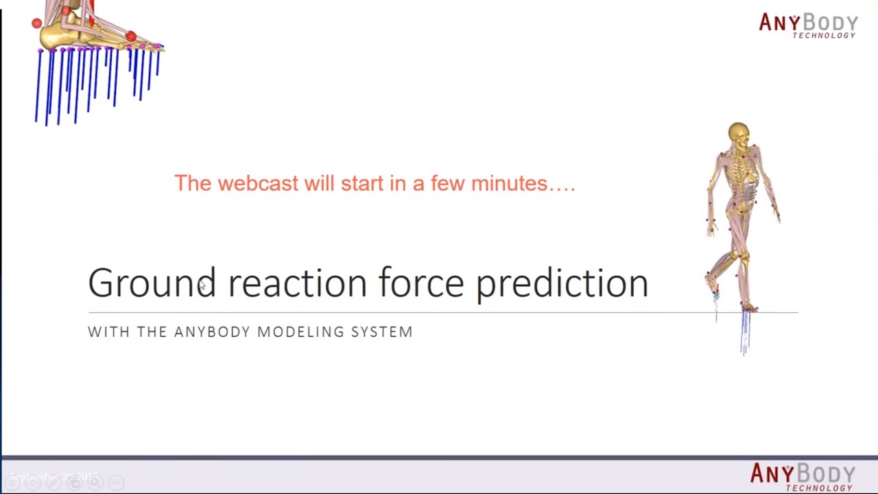[Webcast] - Ground Reaction Force Prediction With The AnyBody Modeling System