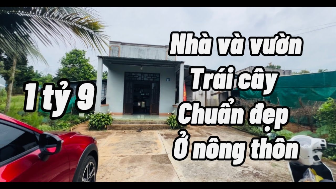 Vì nợ nần đành bán nhà và vườn trái cây tâm huyết ở BRVT- TP HCM