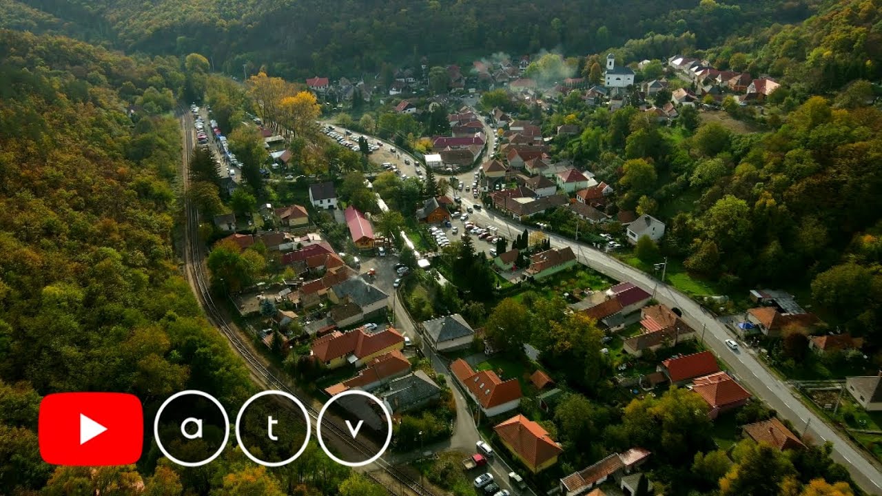 Szarvaskői csipkebogyó