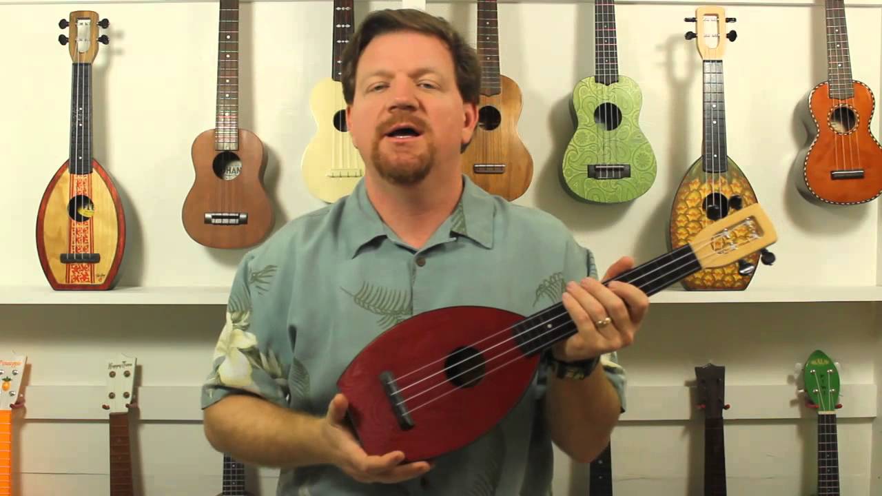 Sound Sample 9: Magic Fluke's CONCERT Flea ukemanfischer