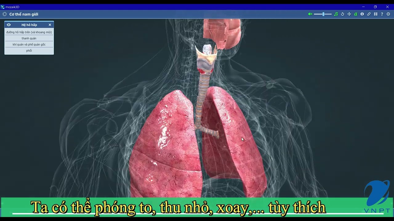 Hướng dẫn sử dụng Mozaweb
