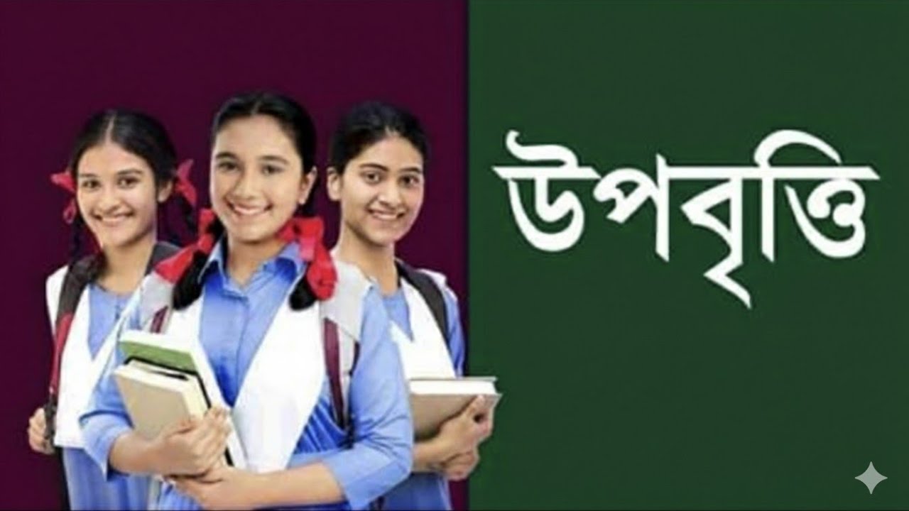 যে ভাবে উপবৃত্তির আবেদন ফরম পূরণ করলে ৯৯% উপবৃত্তির জন্য সিলেক্টেড হবে।