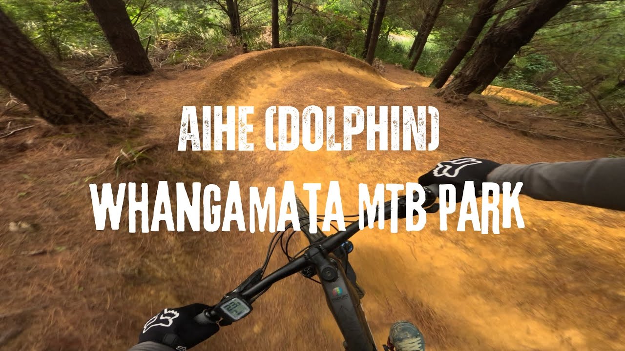 Aihe (Dolphin) // Whangamata MTB Park 