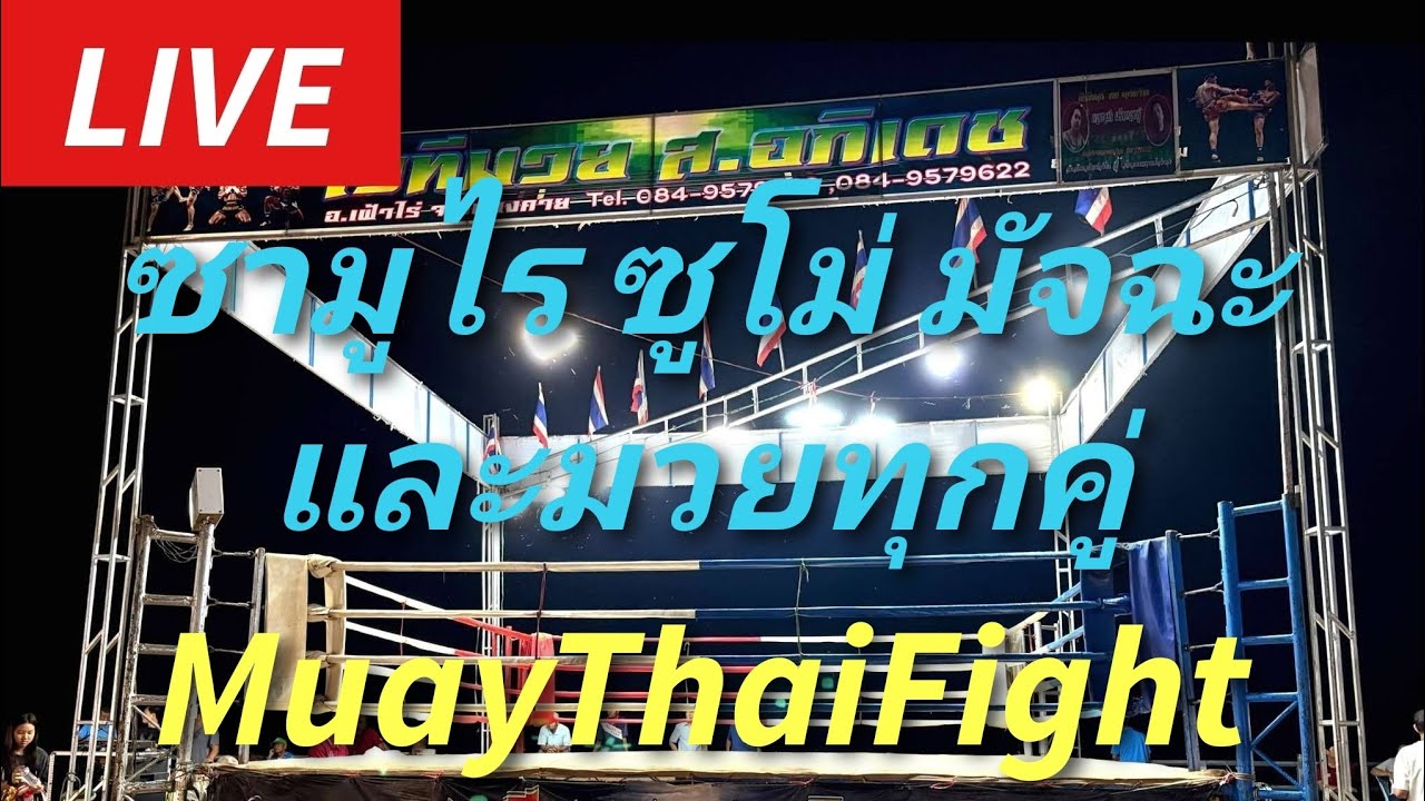 #มวยไทย ซามูไร ซูโม่ มัจฉะและมวยทุกคู่กำลังเริ่มจ้าSAMURAI⚔️Sumo🤲🏻Matcha Fight💎⚔️🌌🇹🇭 #muaythai #ムエタイ