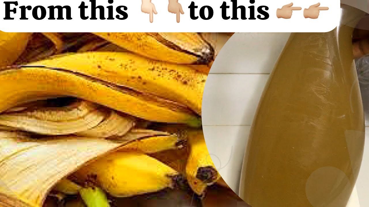 MAKE YOUR HOMEMADE FERTILIZER FROM PLANTAIN PEEL/ EMBRACE NATURE’S GOODNESS 