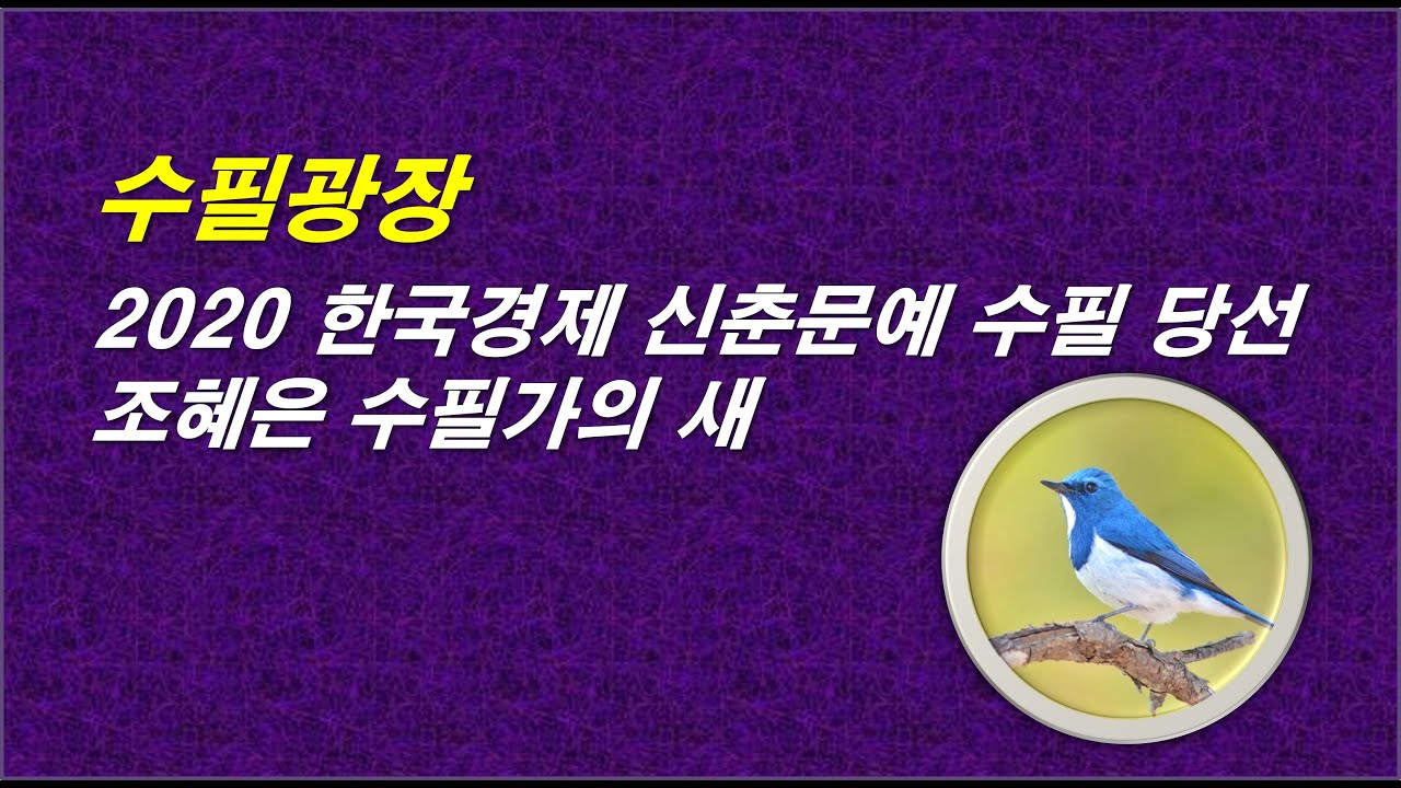 조혜은의 새, 2020 한경 신춘문예 수필, 자면서 듣는 감동적인 이야기