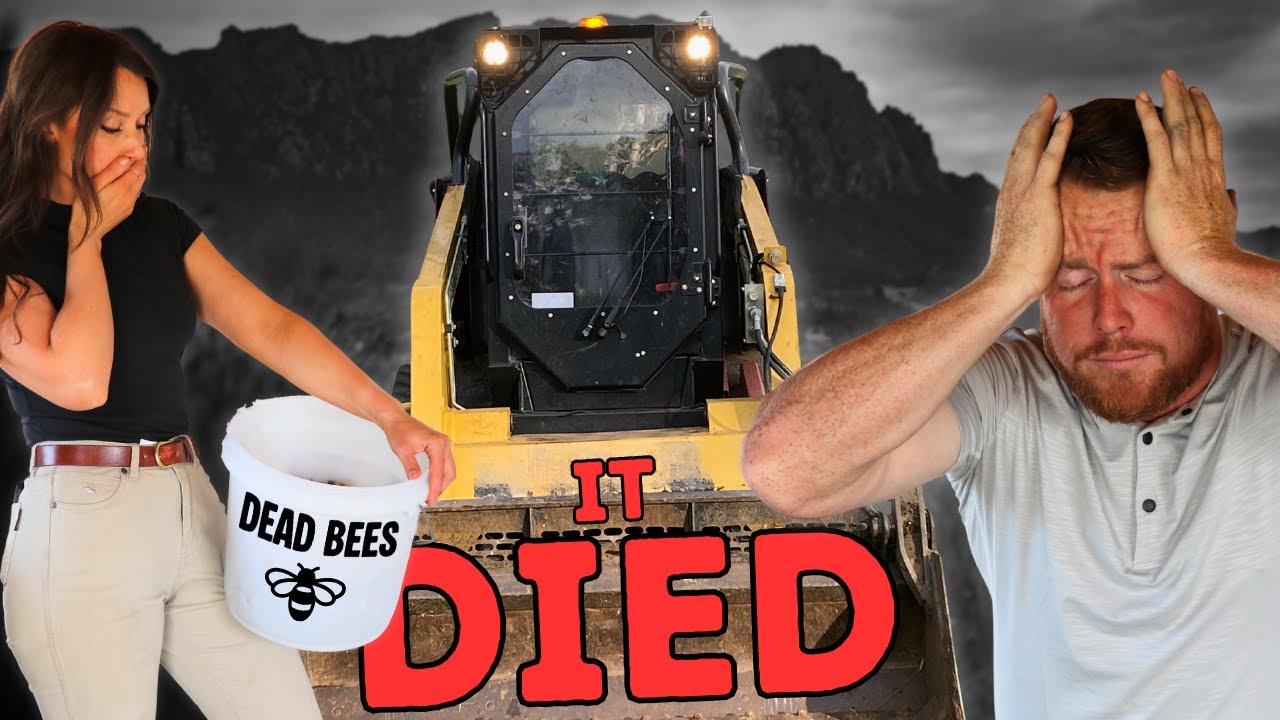 A $20,000 MISTAKE - Everything Went Wrong On The Farm