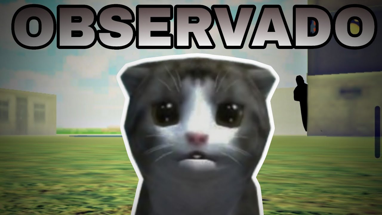 Testei o Gatinho Gato Simulator Craft pra ver se realmente dá medo
