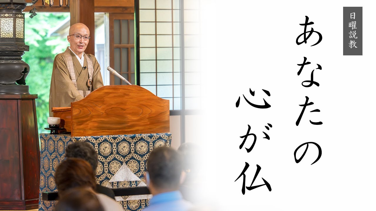 【日曜説教：令和6年6月】あなたの心が仏 ｜ 臨済宗円覚寺派管長 横田南嶺老師