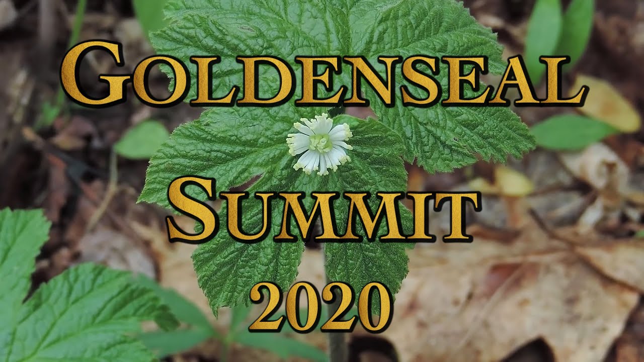 Goldenseal Summit 2020