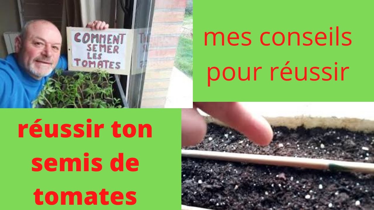 comment semer vos graines de tomates !!!!!!!!