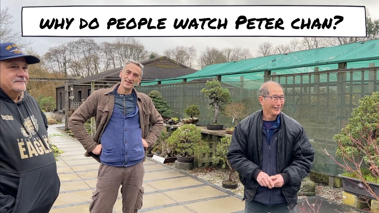 Why do people like following Peter Chan?