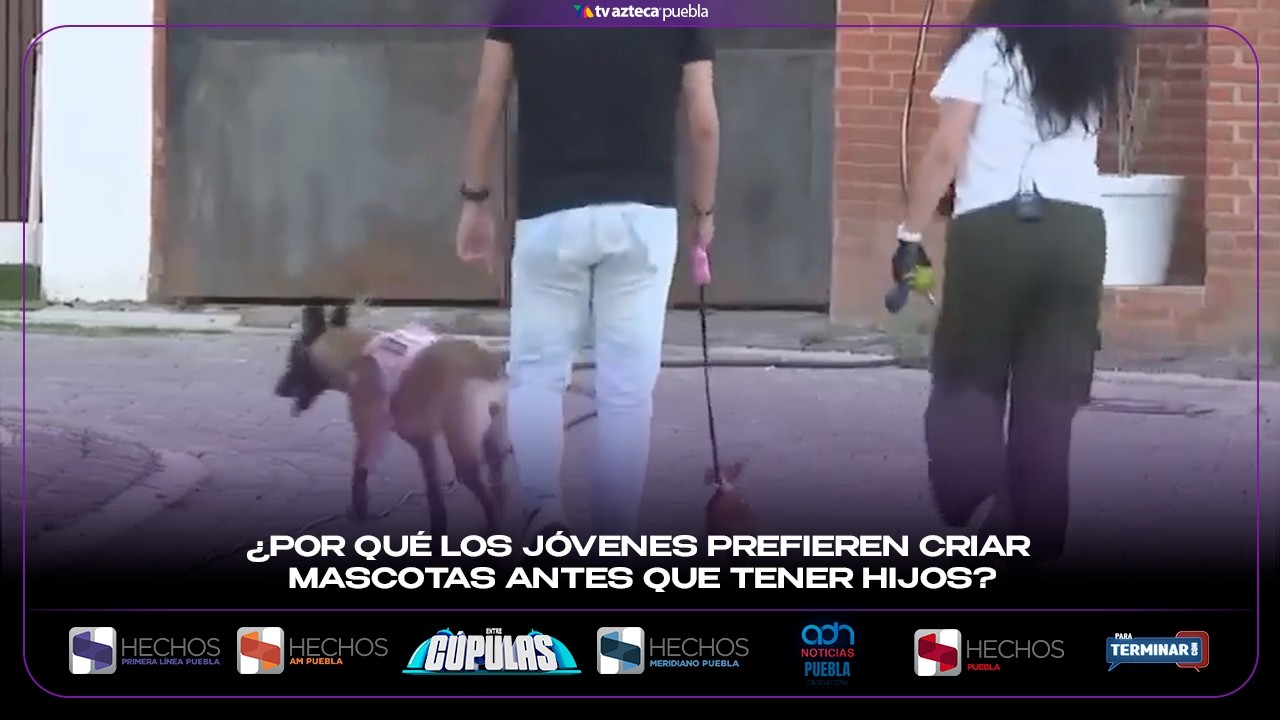 ¿Por qué los jóvenes prefieren criar mascotas antes que tener hijos?