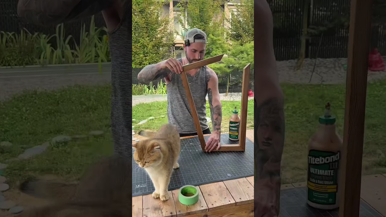 How to build a cheap cat scratcher