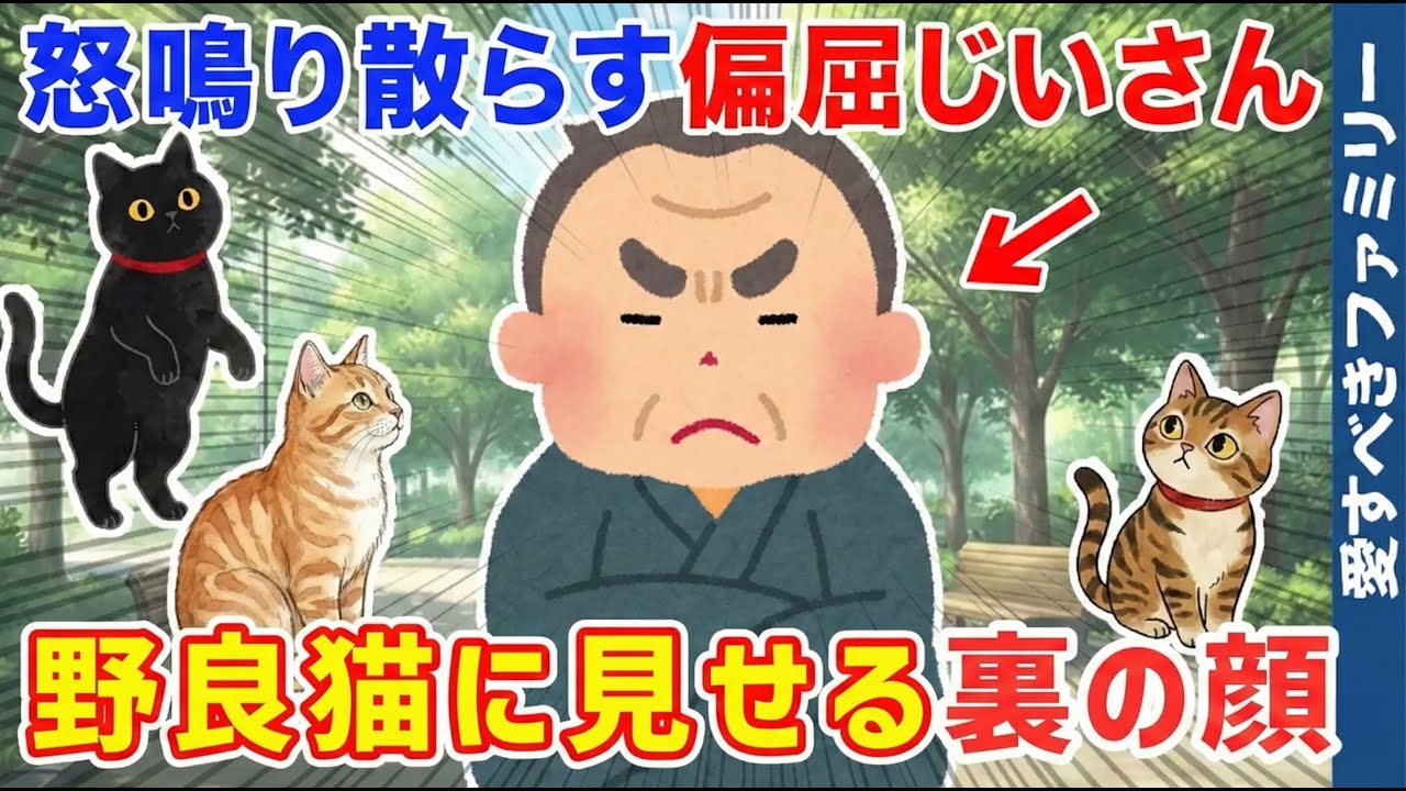 【ほっこりする話】公園で子供達にも怒鳴ってる偏屈じいさんと野良猫との関係【感動する話】