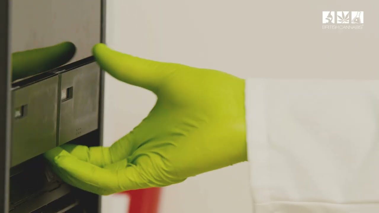 CBD Lab Test