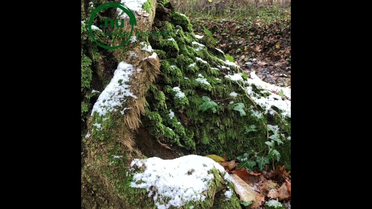 Lekker uitrusten 🛌