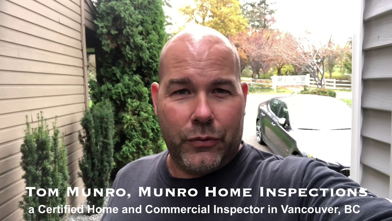 Roof Inspection