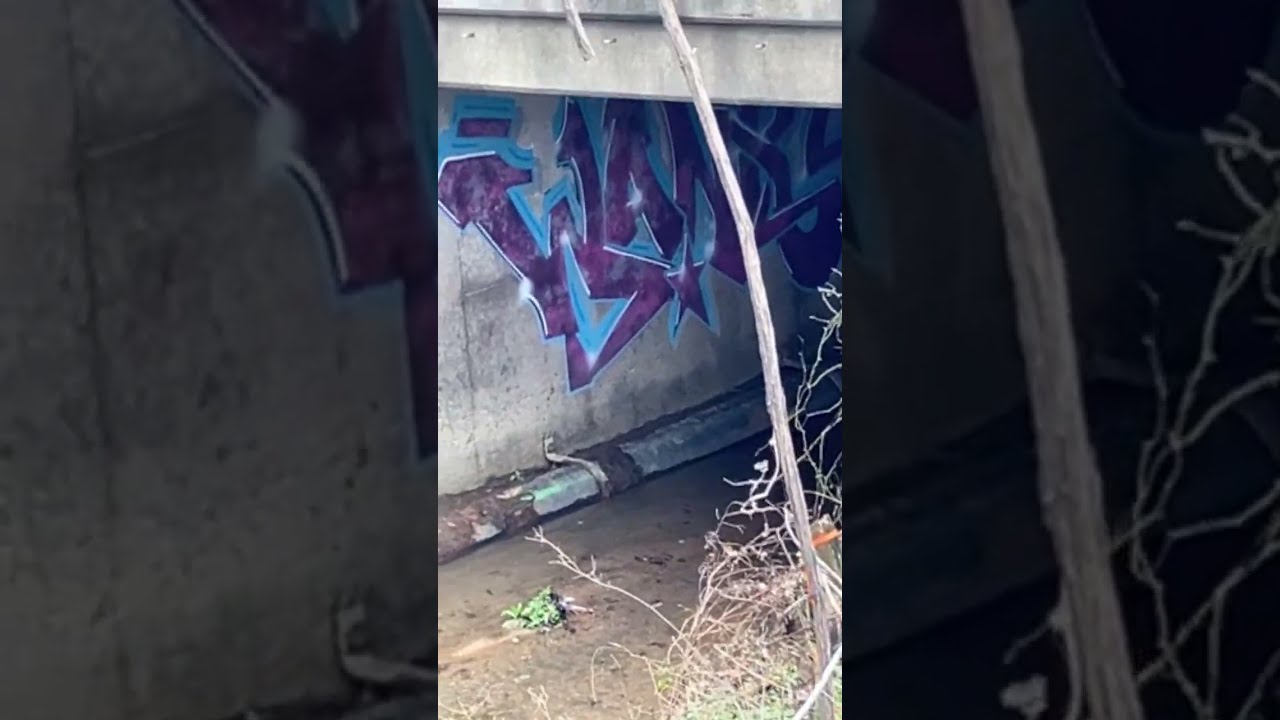 Skate IRL