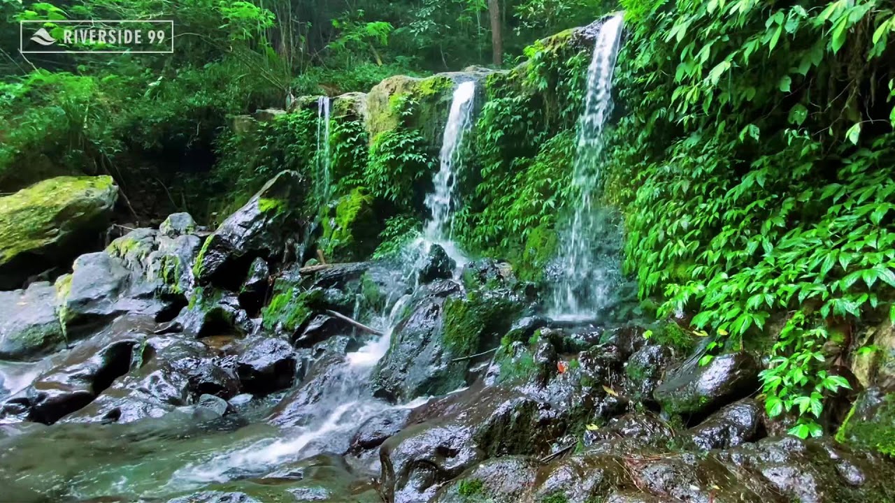 River Sounds for Sleeping 24/7 | Deep Relaxing Water Flow for Instant Night Sleep and relaxation #1