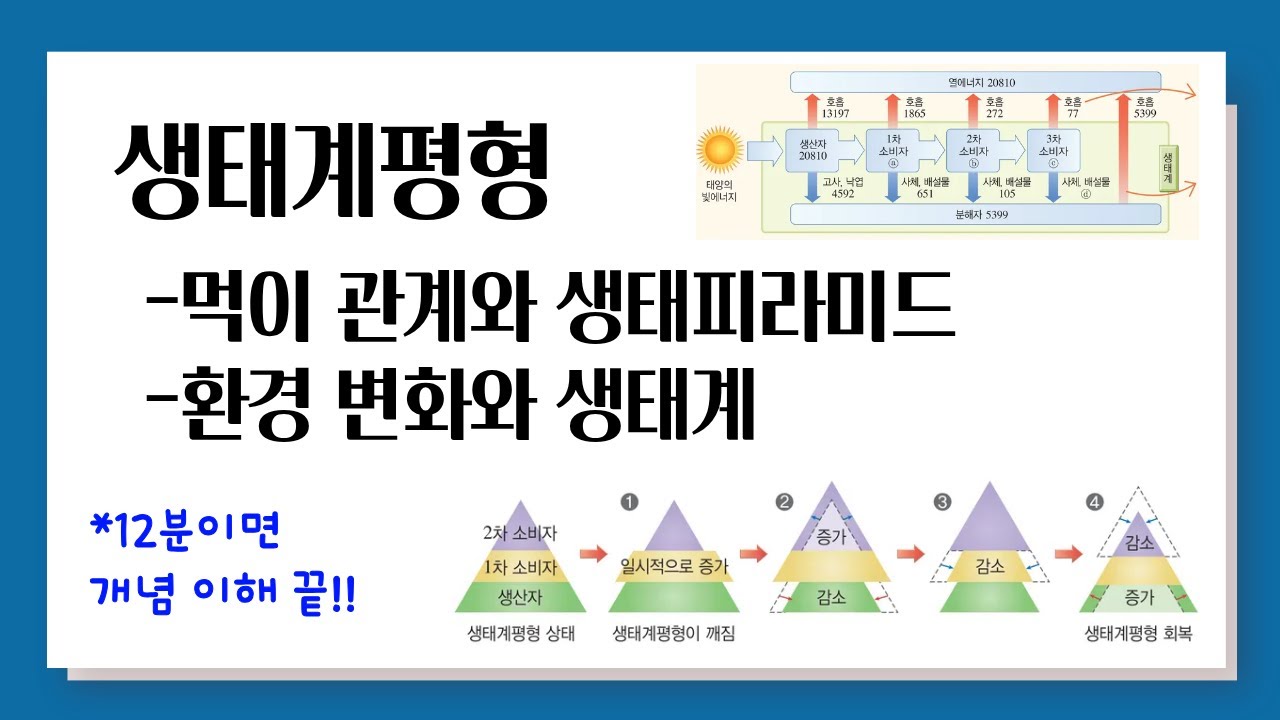 [통합과학2] 생태계평형 l 먹이 관계와 생태피라미드, 환경 변화와 생태계
